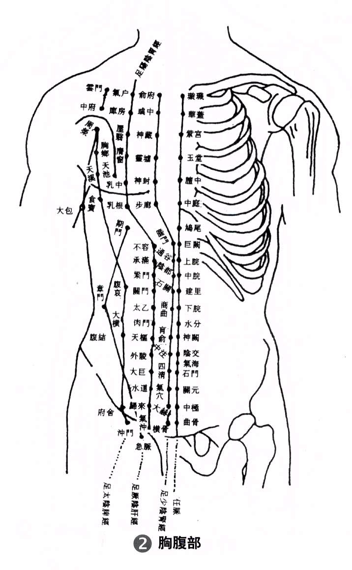 人体穴位经络分布图
